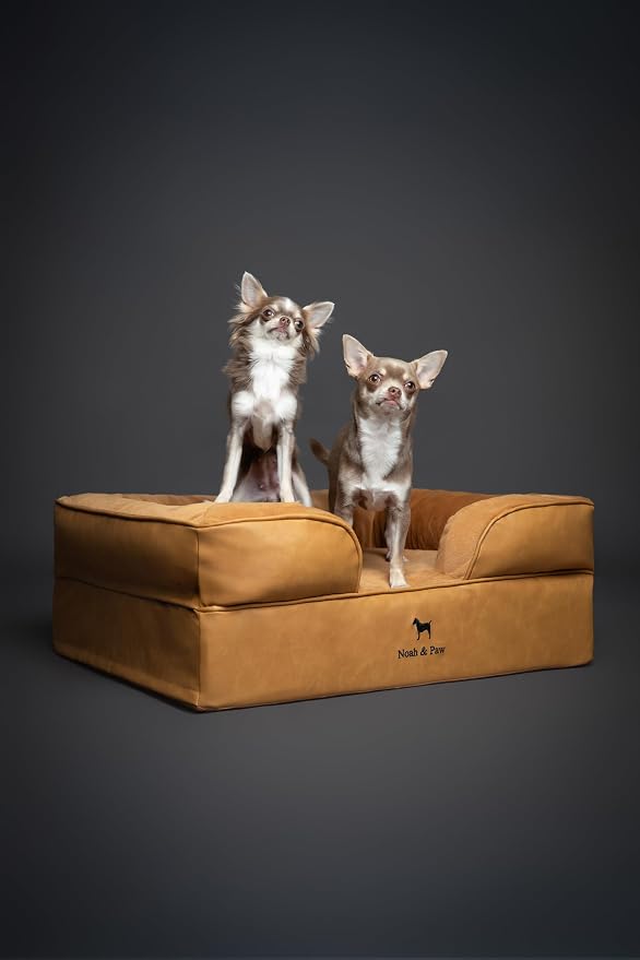 NOAH & PAW Dog Bed, 28x23x11 Inch, Orthopedic Dog Beds for Medium Size Pets, Eggshell Memory Foam Infused with Cooling Gel, Inner Cover, Water Resistant, Machine Washable (Faux Leather) - Image 6