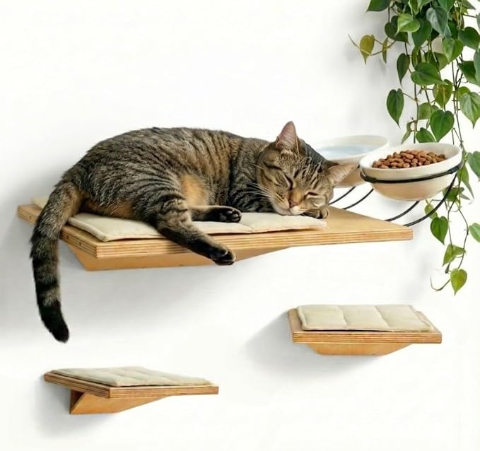Wall Mounted Cat Shelves with Elevated Ceramic Feeding Station–Scandinavian Floating Design, Solid Plywood, Two Climbing Steps with Cotton Mats, Modern Cat Wall Furniture Set 300 ml Bowls by Unknown