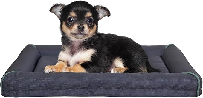 BALANCE Oxford Dog Bed for Small Dogs, Waterproof Dogs Crates Pad Outdoor Dog Crate Mat, Wipe Clean & Easy Rinse, 24 inch by BalancePet