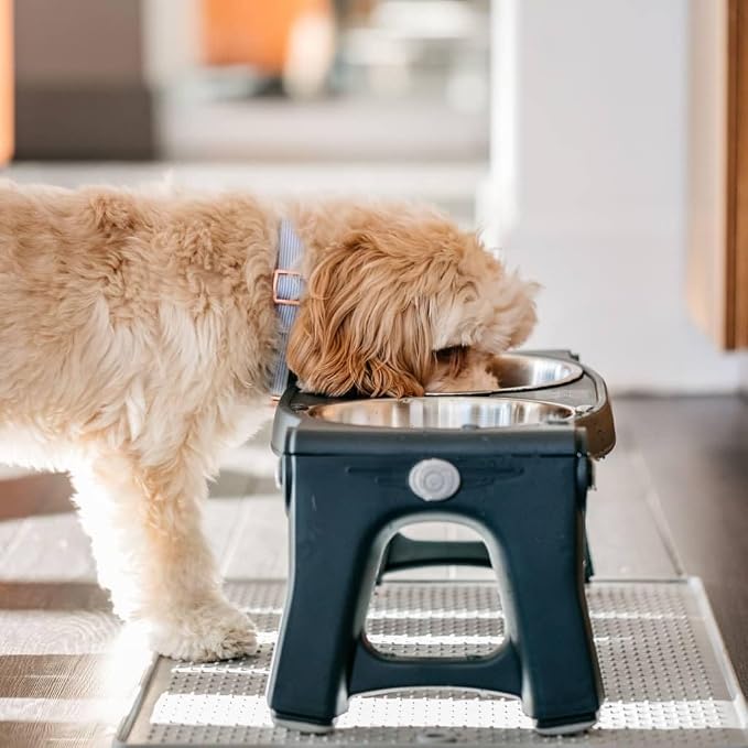 Dexas Pets Adjustable Height Double Pet Feeder with Stainless Steel Bowls - Image 2