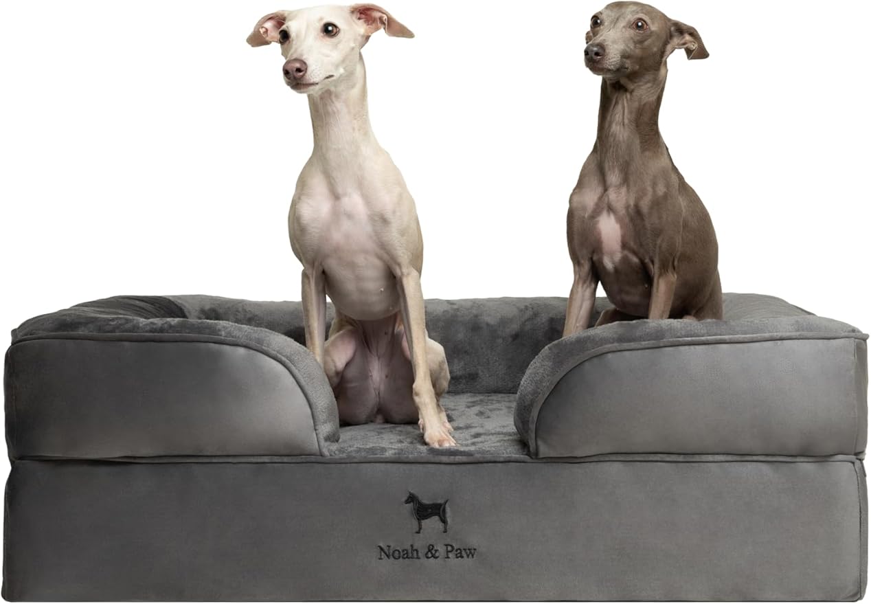 NOAH & PAW Large Dog Bed, 35x25x11 Inch, Orthopedic Dog Beds, Eggshell Memory Foam Infused with Cooling Gel, Inner Cover, Water Resistant, Machine Washable (Velvet Sofa Collection) by NoahPaw
