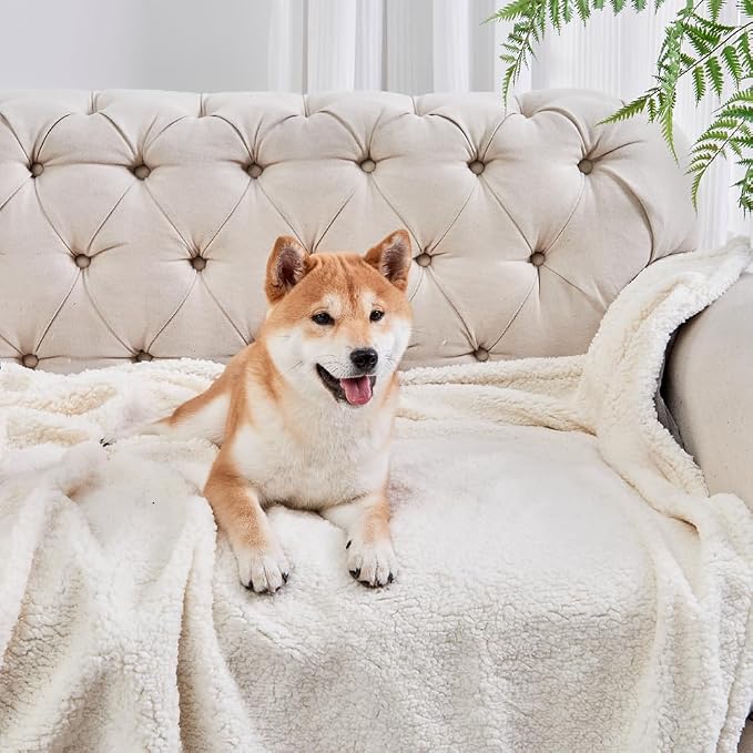 Qeils Dog Blankets for Small Dogs - Waterproof Cat Blanket Washable - Sherpa Fleece Puppy Blanket, Soft Plush Reversible Throw Protector for Bed Couch Car Sofa, 40"X50", Grey - Image 5
