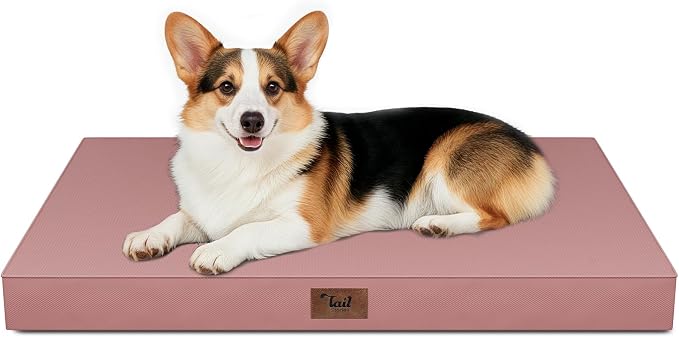 Outdoor Waterproof Orthopedic Dog Bed for Large Dogs | Egg Crate Foam for Joint Support, TPU Waterproof Layer, Machine Washable 1680D Oxford Cover, 36 x 27 Inch, Up to 65 lbs by TailStories