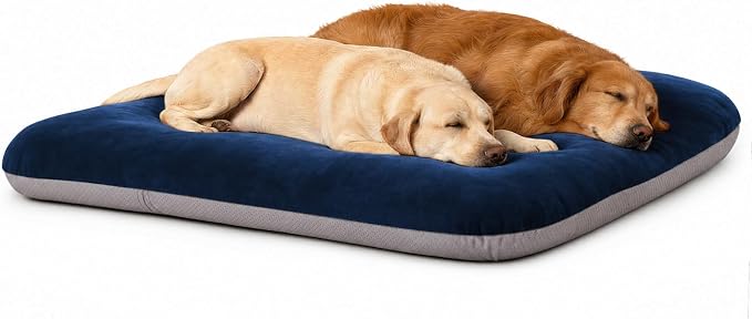 Magic Dog Super Soft Extra Large Dog Bed Jumbo Pet Beds Orthopedic 47 Inch Washable Anti Slip Dog Sleeping Mattress with Removable Cover, Blue XL by MagicDog