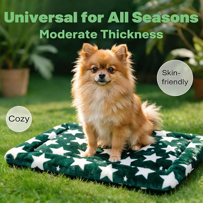 Dog Bed Mat, Reversible Crate Pad & Cute Dog Bed - Machine Washable Kennel Mat with Ultra Soft (Big&Small Stars Green, 18" L x 14" W x 1.5" Th) - Image 2