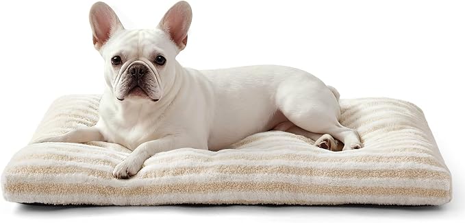 FURTIME Washable Small Dog Bed, Deluxe Dog Crate Beds | Comfy Fluffy Kennel Pad Anti-Slip Pet Sleeping Mat for Puppy/Cat, Machine Washable Dogs Pillow, 23"x18"x3", White by FURTIME