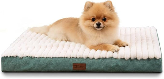 Orthopedic Dog Bed for Small Dogs,Firm Egg Crate Foam,Non-Slip Bottom,Green | Soft Plush Surface,Removable Machine Washable Cover,Ideal for Crates & Small Spaces,Designed for Joint Support,23"x17"x3" by VERABE