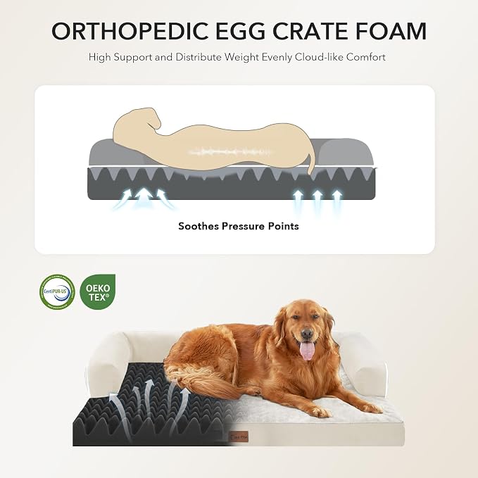 Orthopedic Washable Dog Bed for Large Dogs, 36x27in, Beige | Orthopedic Foam Relieves Joint Pressure, Bolsters Supports Head And Neck, Washable Cover, Non-Slip Bottom - Image 2
