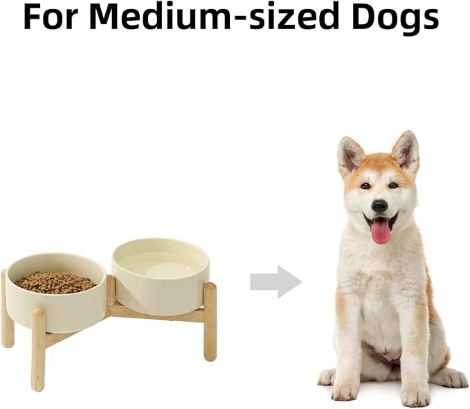 Havniva Elevated Dog Bowls Ceramic Dog Bowls with Stand, Dog Food Bowl | 6.1” Raised Dog Bowls with Non-Slip Wood Stand, Dog Food and Water Bowl Set, Double Dog Feeding Bowls for Small & Medium Dogs - Image 4