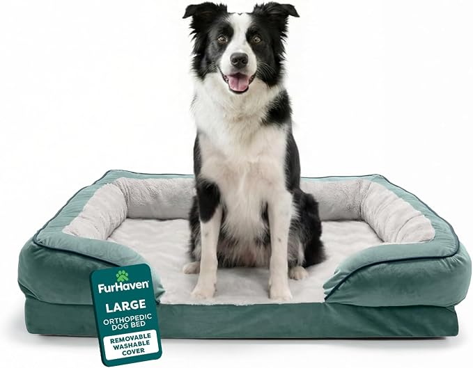Furhaven Orthopedic Dog Bed for Large/Medium Dogs w/ Removable Bolsters & Washable Cover, For Dogs Up to 55 lbs - Plush & Velvet Waves Perfect Comfort Sofa - Celadon Green, Large by FurHaven