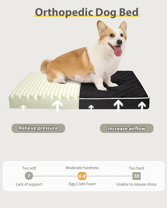 NUPIDA Orthopedic Dog Beds Large Sized Dog Waterproof Pet Kennel Pad with Removable Washable Cover and Non-Slip Bottom, 35x23 Inch, Black - Image 3