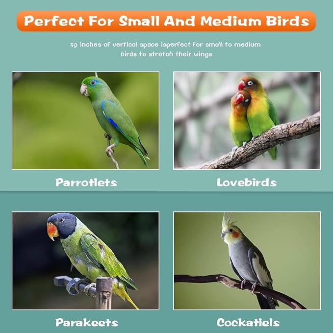 BestPet 64 inch Wrought Iron Bird Cage for Parakeets Medium Small Parrots Parakeet Cage with Detachable Rolling Stand & Play Open Top for Cockatiels Lovebird Finches Canaries (Almond) - Image 6