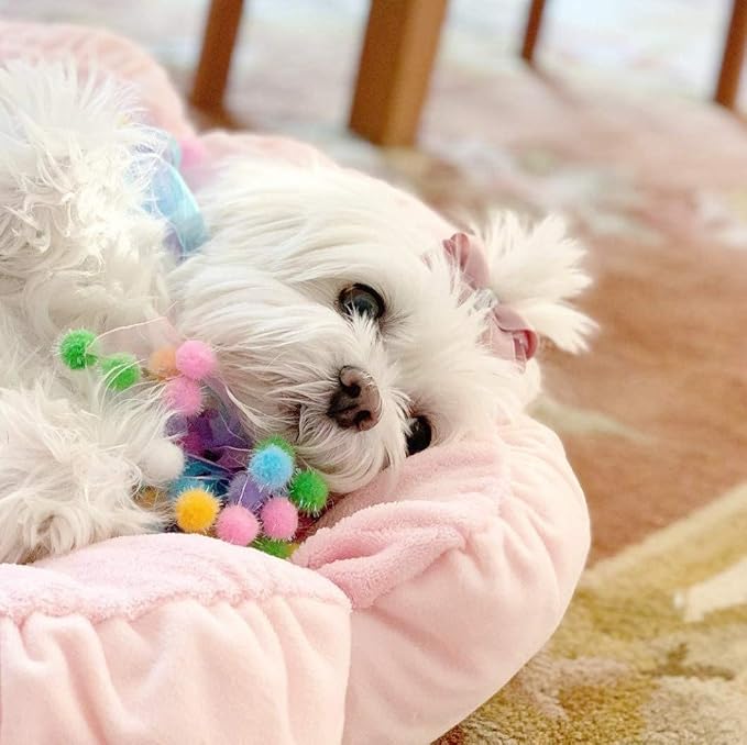 TONBO Soft Plush Small Cute and Cozy Pastel Pink Flower Dog Cat Bed, Washer and Dryer Friendly, (Pastel Pink) - Image 5