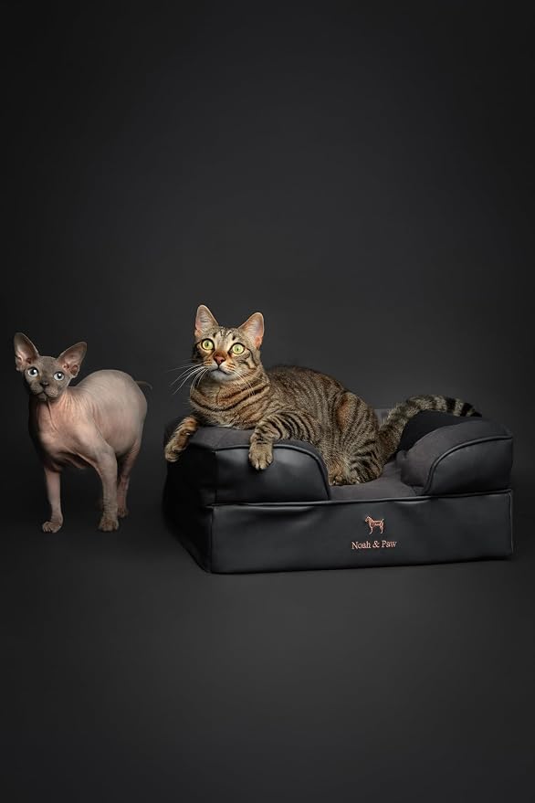 NOAH & PAW Small Dog Bed, 20x15x8 Inch, Cat Bed for Indoor Cats, Orthopedic Eggshell Memory Foam Infused with Cooling Gel, Water Resistant Inner Cover Machine Washable (Faux Leather) - Image 6