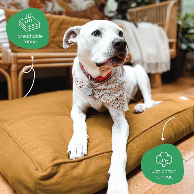 Molly Mutt Fast Car Dog Bed Duvet Cover, GOTS-Certified 100% Cotton Canvas Cover for Dog, Puppy, or Cat Bed, Durable, Washable, and Free of Harmful Chemicals, Medium/Large, 27"x36"x5", Mustard Yellow - Image 4