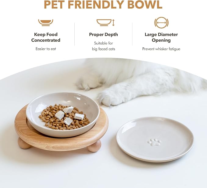 Havniva Elevated Cat Bowls, Raised Ceramic Cat Bowl with Stand, Two Heights | Cat Food & Water Bowl Set, Whisker Friendly, 5.6” Raised Cat Dishes + 6” Shallow Cat Plates, Non-slip Wood Stand, Kitten Bowl - Image 5