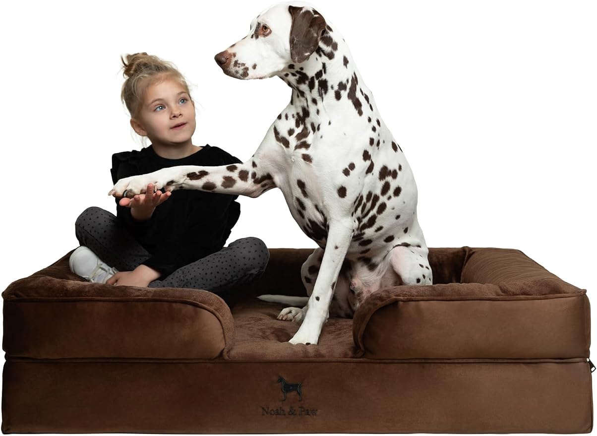 NOAH & PAW XL Dog Bed, 45x35x11 Inch, Orthopedic Large Dog Beds, Eggshell Memory Foam Infused with Cooling Gel, Inner Cover, Water Resistant, Machine Washable (Velvet Sofa Collection) by NoahPaw