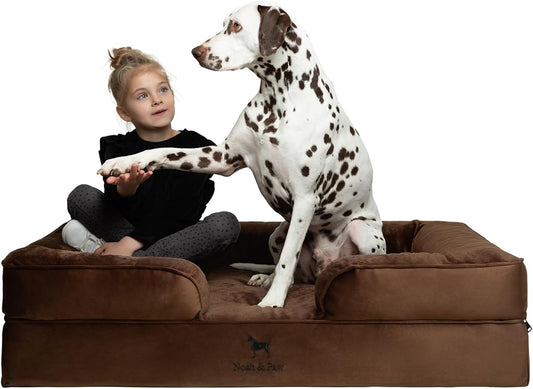 NOAH & PAW XL Dog Bed, 45x35x11 Inch, Orthopedic Large Dog Beds, Eggshell Memory Foam Infused with Cooling Gel, Inner Cover, Water Resistant, Machine Washable (Velvet Sofa Collection) by NoahPaw