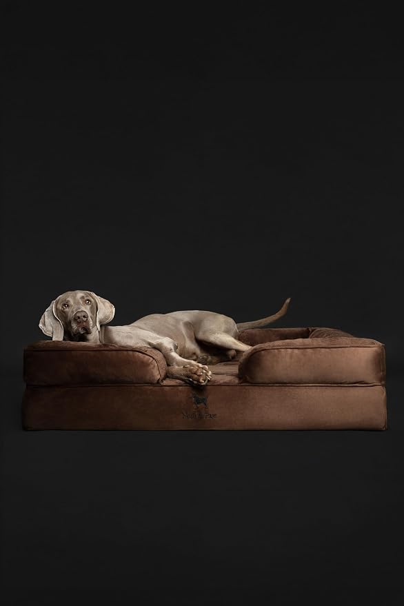 NOAH & PAW XL Dog Bed, 45x35x11 Inch, Orthopedic Large Dog Beds, Eggshell Memory Foam Infused with Cooling Gel, Inner Cover, Water Resistant, Machine Washable (Velvet Sofa Collection) - Image 6