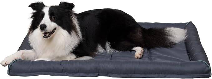 BALANCE Oxford Dog Bed for Large Dogs, Waterproof Dogs Crates Pad Outdoor Dog Crate Mat, Wipe Clean & Easy Rinse, 36 inch by BalancePet