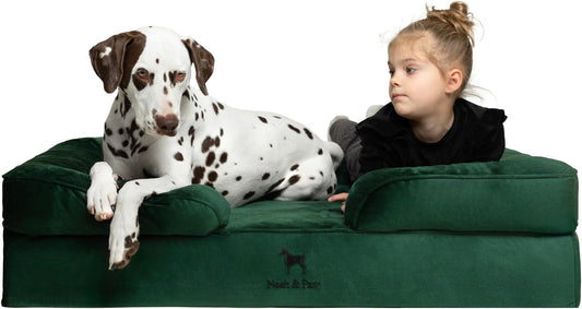 NOAH & PAW XL Dog Bed, 45x35x11 Inch, Orthopedic Large Dog Beds, Eggshell Memory Foam Infused with Cooling Gel, Inner Cover, Water Resistant, Machine Washable (Velvet Sofa Collection) by NoahPaw