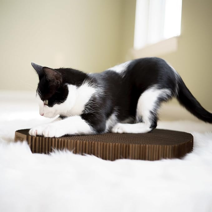 Cat Scratcher by Americat – Made in USA Cardboard Scratching Pad & Lounger – X Large, 2-Sided, Heavy, No-Shedding, Long-Lasting (Corner) - Image 7