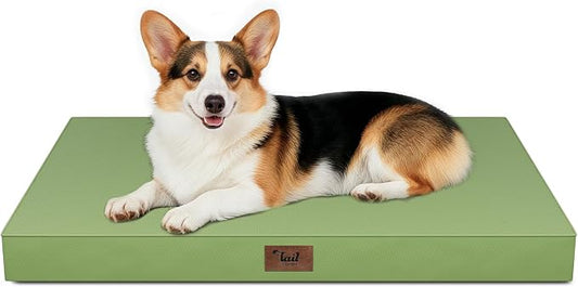 Outdoor Waterproof Orthopedic Dog Bed for Large Dogs | Egg Crate Foam for Joint Support, TPU Waterproof Layer, Machine Washable 1680D Oxford Cover, 36 x 27 Inch, Up to 65 lbs by TailStories
