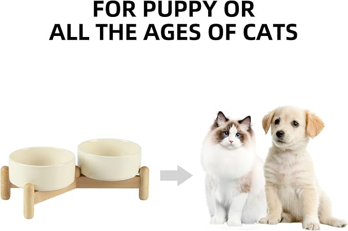 Havniva Elevated Dog Bowls Ceramic Dog Bowls with Stand, Dog Food Bowl | 5.1” Raised Dog Bowls with Non-Slip Wood Stand, Dog Food and Water Bowl Set, Double Dog Feeding Bowls for Small Dogs - Image 4