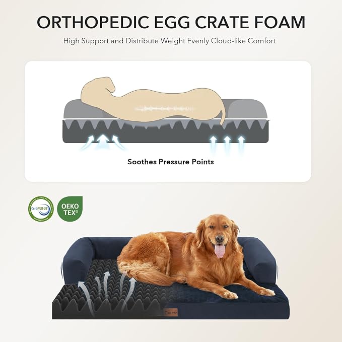 Casa Paw Orthopedic Washable Dog Bed for Large Dogs, 36x27in, Navy Blue | Orthopedic Foam Relieves Joint Pressure, Bolsters Supports Head And Neck, Washable Cover, Non-Slip Bottom - Image 2