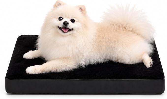 NUPIDA Waterproof Small Dog Bed for Crate with Washable Cover, 23x17, Black | Cat Puppy Bed, TPU Waterproof Layer, Soft Plush Surface, Durable Oxford Fabric, Non-Slip Bottom, For Small Breeds ≤20lbs by NUPIDAPet%E2%80%99sHome