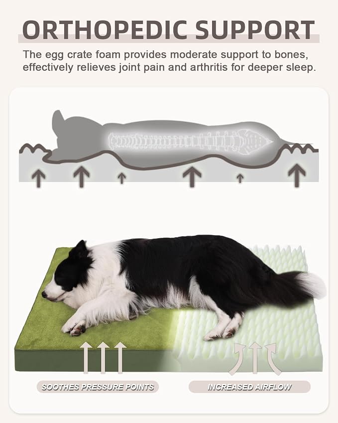KSIIA Orthopedic Dog Bed for Large Dogs with Waterproof Lining, Green,35x22 | Deluxe Soft Plush Dog Crate Bed, Washable Pet Mat with Removable Cover & Egg Crate Foam for Large Dogs Sleeping & Relaxing - Image 2