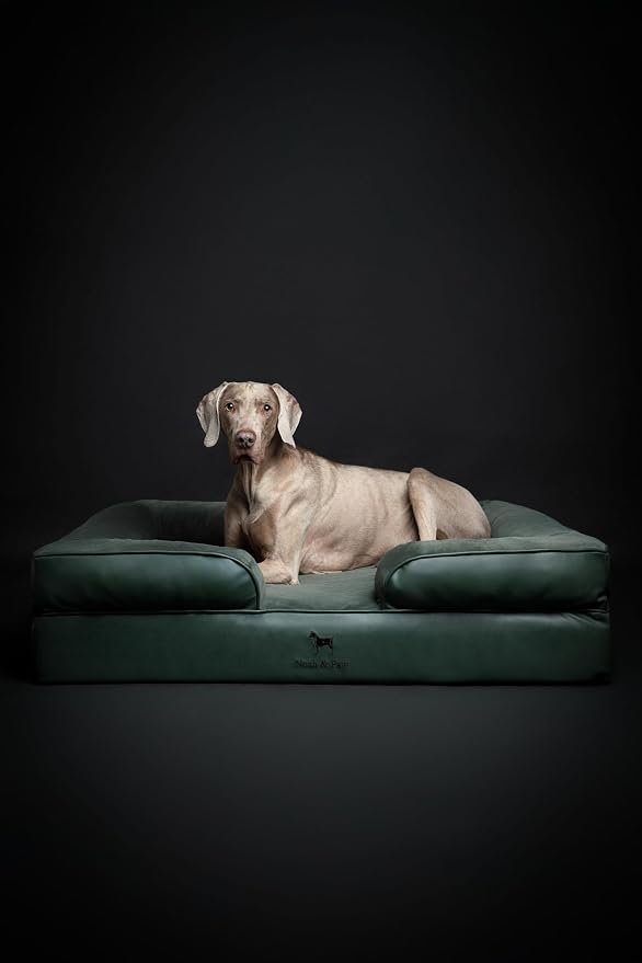 NOAH & PAW XL Dog Bed, 45x35x11 Inch, Orthopedic Large Dog Beds, Eggshell Memory Foam Infused with Cooling Gel, Inner Cover, Water Resistant, Machine Washable (Faux Leather) - Image 6