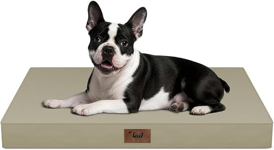 Orthopedic Waterproof Dog Bed for Small Dogs and Cats | Egg Crate Foam for Joint Support, Fits 30x19 Crates, TPU Waterproof Layer, Machine Washable 1680D Oxford Cover, Up to 30 lbs by TailStories