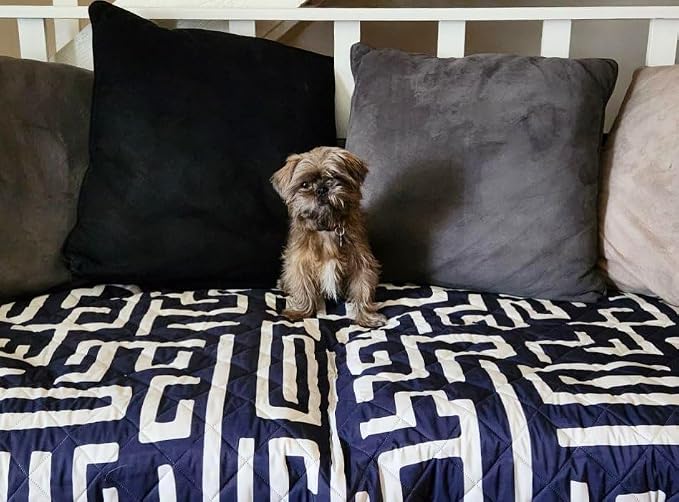 Waterproof Blanket, 60”x70” - Large Couch Cover for Dogs and Pets - Ideal for Picnics, Outdoor, Camping, Beach and More - Large, Washable Protector - Image 6