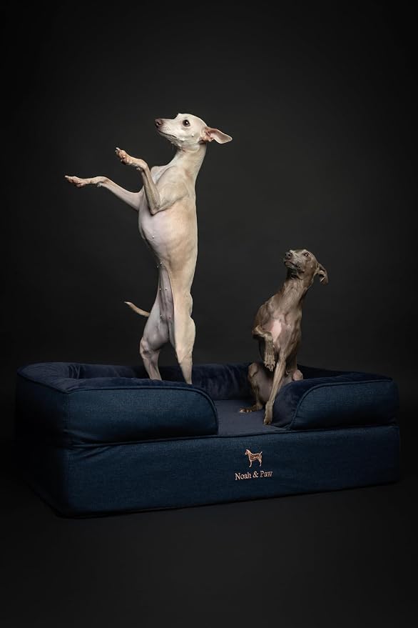 NOAH & PAW Large Dog Bed, 35x25x11 Inch, Orthopedic Dog Beds, Eggshell Memory Foam Infused with Cooling Gel, Inner Cover, Water Resistant, Machine Washable (Denim Sofa Collection) - Image 7