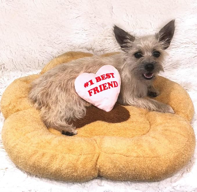 TONBO Soft Plush Small Cute and Cozy Nature Dog Cat Bed, Washer and Dryer Friendly (Paw) - Image 2