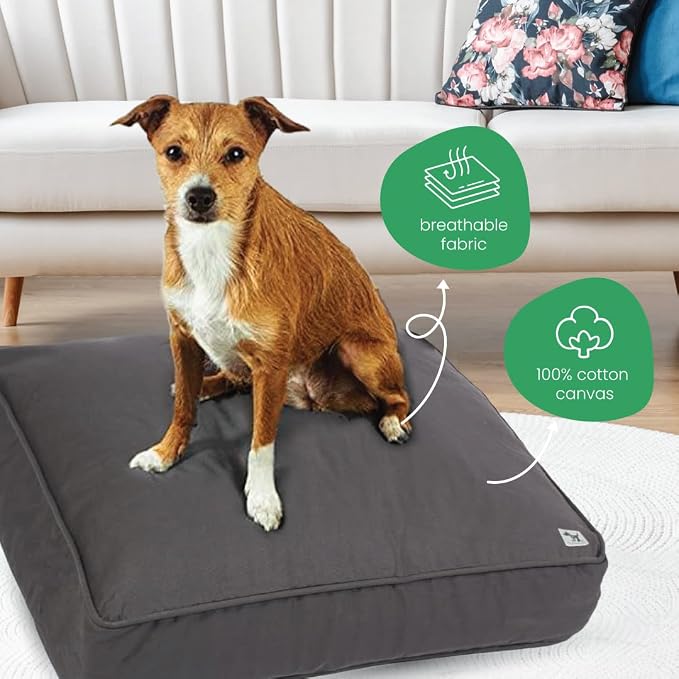 Molly Mutt Medium to Large Dog Bed Cover - I’m A Realist Print - Measures 27”X36”X5’’ - 100% Cotton - Durable - Breathable - Sustainable - Machine Washable Dog Bed Cover - Image 4