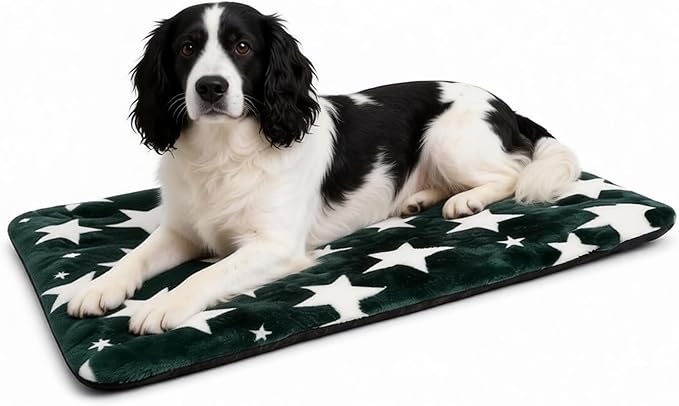 Washable Dog Bed Mat with Anti-Slip Bottom, Deluxe Plush Memory Foam Crate Pad & Waterproof Outdoor Kennel Mat for Dogs & Cats-Durable Crates Beds, Large Medium Small Puppy Size30 x 20",Green by Unknown