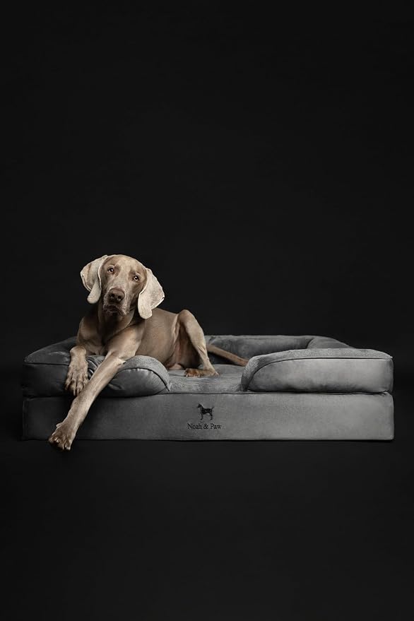 NOAH & PAW XL Dog Bed, 45x35x11 Inch, Orthopedic Large Dog Beds, Eggshell Memory Foam Infused with Cooling Gel, Inner Cover, Water Resistant, Machine Washable (Velvet Sofa Collection) - Image 3