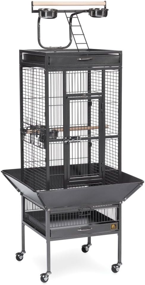 Prevue Pet Products Wrought Iron Select Bird Cage - Durable Steel Cage with Rolling Stand and Seed Guards, Ideal for Cockatiels and Medium Birds - Black Hammertone by PrevuePetProducts