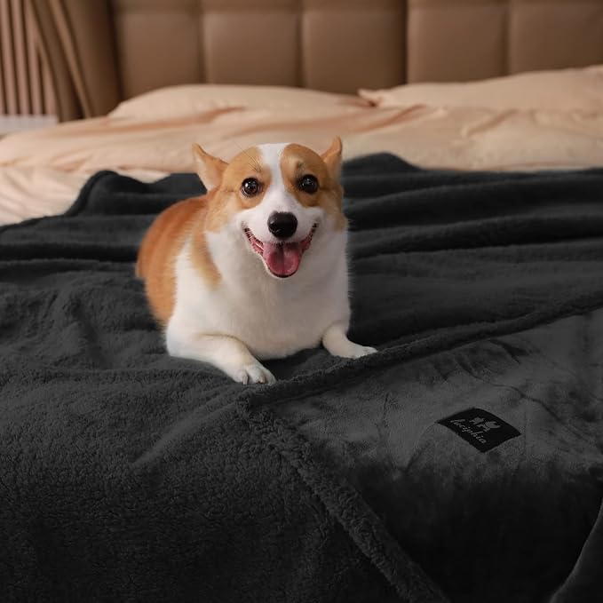 Luciphia Waterproof Pet Blanket, Liquid Pee Proof Dog Blanket for Sofa Bed Couch, Reversible Sherpa Fleece Furniture Protector Cover for Small Medium Large Dogs Cats, Black Thicken Large（65" x 57"） - Image 2