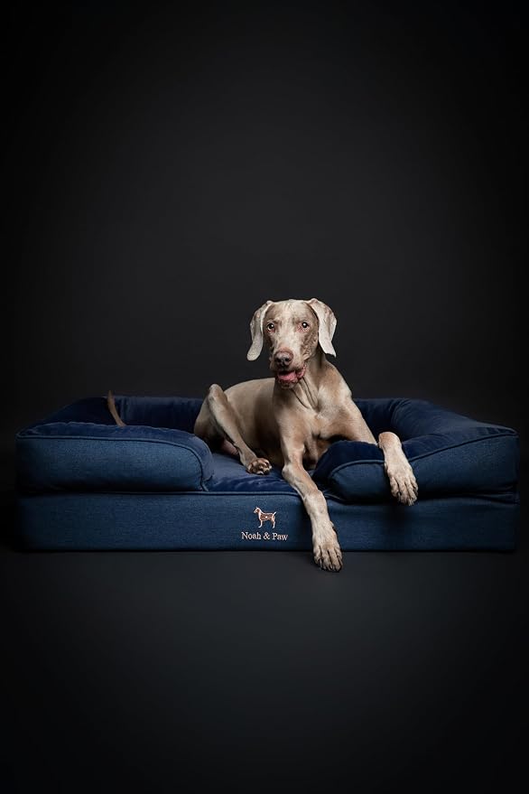 NOAH & PAW XL Dog Bed, 45x35x11 Inch, Orthopedic Large Dog Beds, Eggshell Memory Foam Infused with Cooling Gel, Inner Cover, Water Resistant, Machine Washable (Denim Sofa Collection) - Image 6