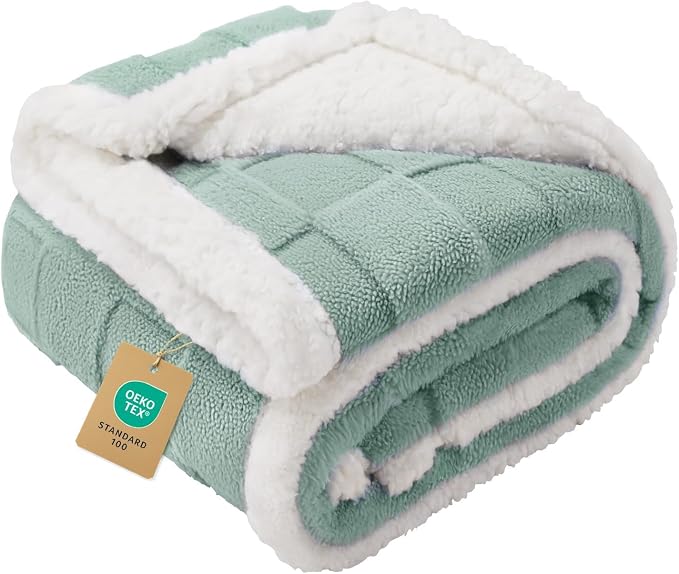 Luciphia Waterproof Dog Blanket, Reversible Fleece & Sherpa, Couch Cover | Soft plush fluffy, washable, puppy, cat, dog bed, sofa, throw, furniture protector,Green,Small(40" x 28") by luciphia