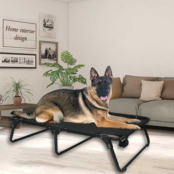 Elevated Raised Small Meduim Dog Bed Cots,Cooling Foldable No Assembly Need Pet Hammock Bed with Breathable Mesh, Indoor Outdoor Dog Pet Bed for Small Meduim Dogs, Chew Proof, Black - Image 7