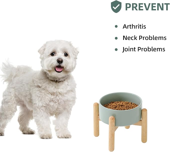 Havniva Elevated Dog Bowls Ceramic Dog Bowls with Stand, Dog Food Bowl | 6.1” Raised Dog Bowls with Non-Slip Wood Stand, Dog Food and Water Bowl Set, Dog Feeding Bowls for Small & Medium Dogs - Image 5