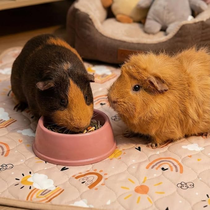 Guinea Pig Cage Liners, 59x31in 2 Pack Washable Guinea Pig Bedding, Waterproof Reusable & Anti Slip, Super Absorbent Guinea Pig Pee Pad for Small Animal, Rabbit, Bunny, Fit for C&C Cage, Pink - Image 5