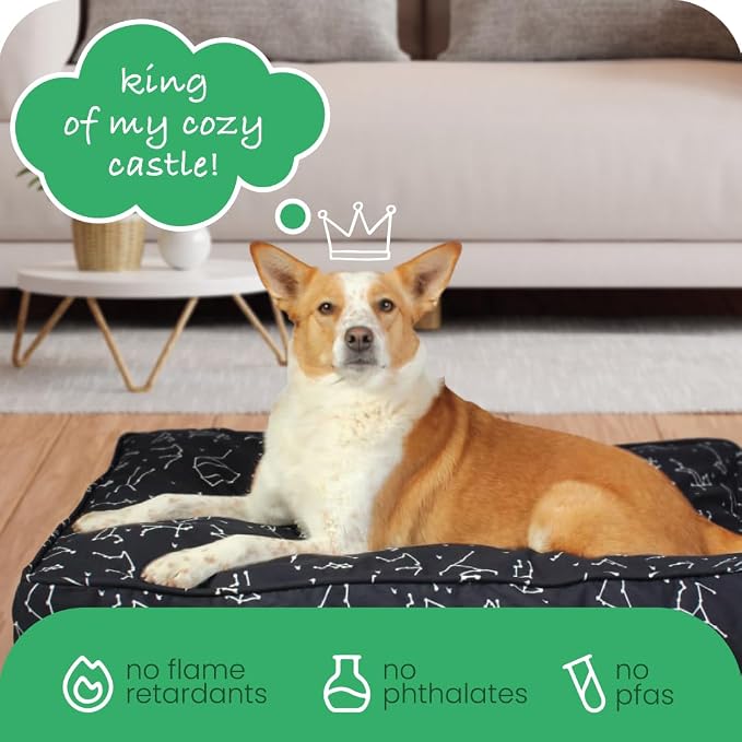 Molly Mutt Medium to Large Dog Bed Cover - Rocketman Print - Measures 27”x36”x5’’ - 100% Cotton - Durable - Breathable - Sustainable - Machine Washable Dog Bed Cover - Image 6