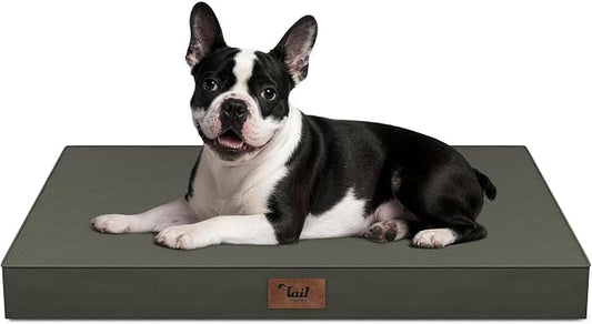 Orthopedic Waterproof Dog Bed for Small Dogs and Cats | Egg Crate Foam for Joint Support, Fits 30x19 Crates, TPU Waterproof Layer, Machine Washable 1680D Oxford Cover, Up to 30 lbs by TailStories