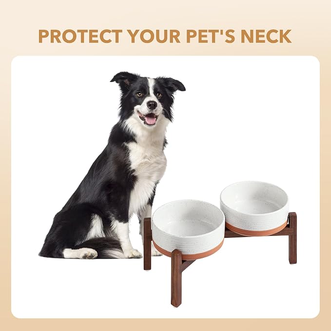 Havniva Elevated Dog Bowls, Ceramic Raised Dog Bowl with Stand | 7.3” Dog Food Bowls Elevated, Dog Food and Water Bowl Set, Non-Slip Acacia Wood Stand, Medium Dogs Bowl, 5 Cups 41 oz - Image 6