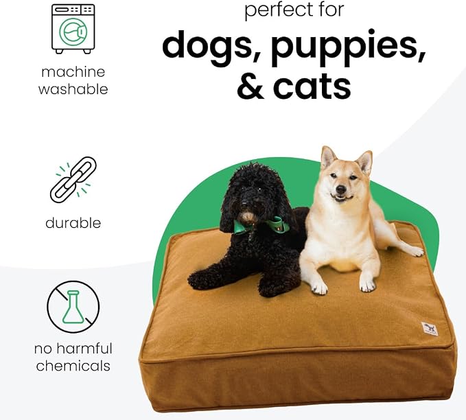 Molly Mutt Fast Car Dog Bed Duvet Cover, GOTS-Certified 100% Cotton Canvas Cover for Dog, Puppy, or Cat Bed, Durable, Washable, and Free of Harmful Chemicals, Medium/Large, 27"x36"x5", Mustard Yellow - Image 3